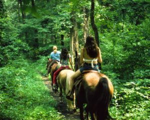 costa-rica-riding